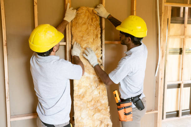 Best Insulation Air Sealing  in Brooklet, GA